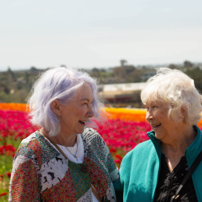 Flower Fields San Diego